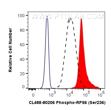 Flow cytometry (FC) experiment of HEK-293 cells using CoraLite® Plus 488-conjugated Phospho-S6 Ribosomal (CL488-80206)