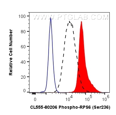 FC experiment of HEK-293 using CL555-80206