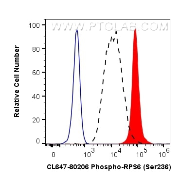 Flow cytometry (FC) experiment of HEK-293 cells using CoraLite® Plus 647-conjugated Phospho-S6 Ribosomal (CL647-80206)