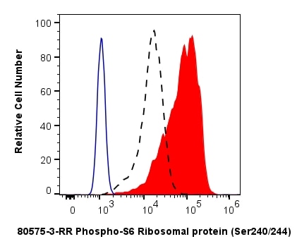 Flow cytometry (FC) experiment of HEK-293 cells using Phospho-S6 Ribosomal protein (Ser240/244) Recombin (80575-3-RR)