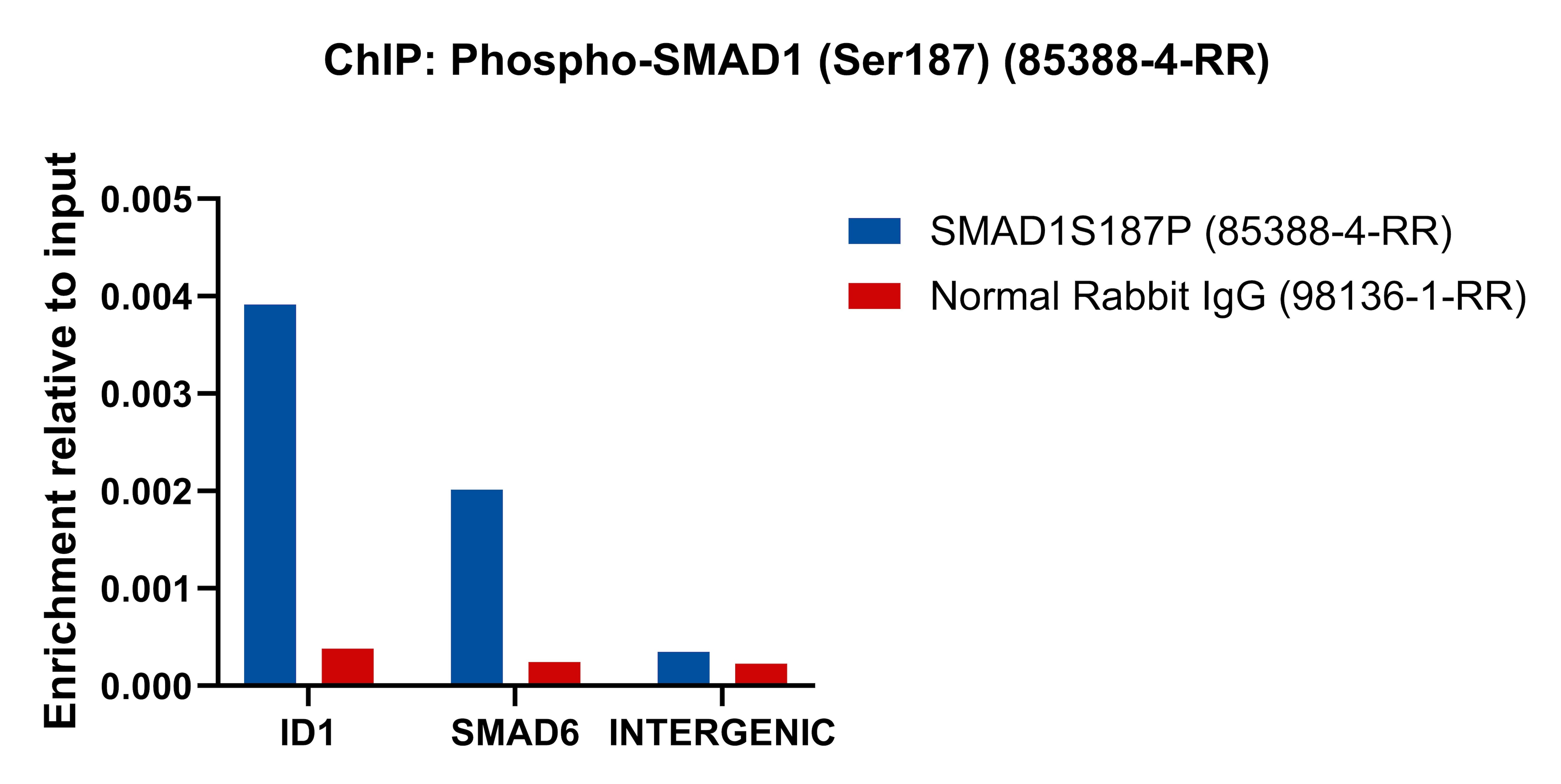 ChIP experiment of MCF-7 cells using Phospho-SMAD1 (Ser187) Recombinant monoclonal anti (85388-4-RR)