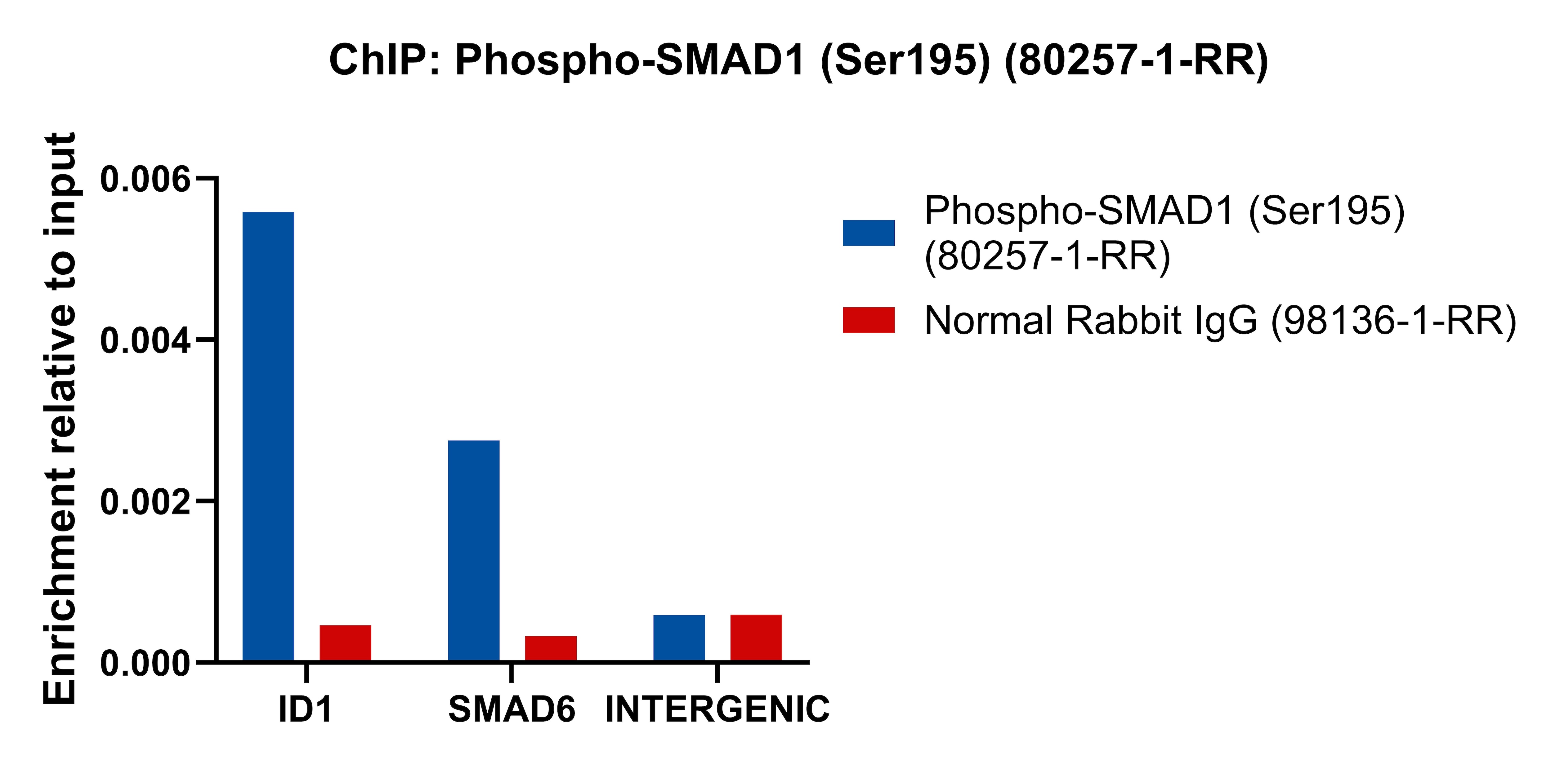 ChIP experiment of HepG2 cells using Phospho-SMAD1 (Ser195) Recombinant monoclonal anti (80257-1-RR)