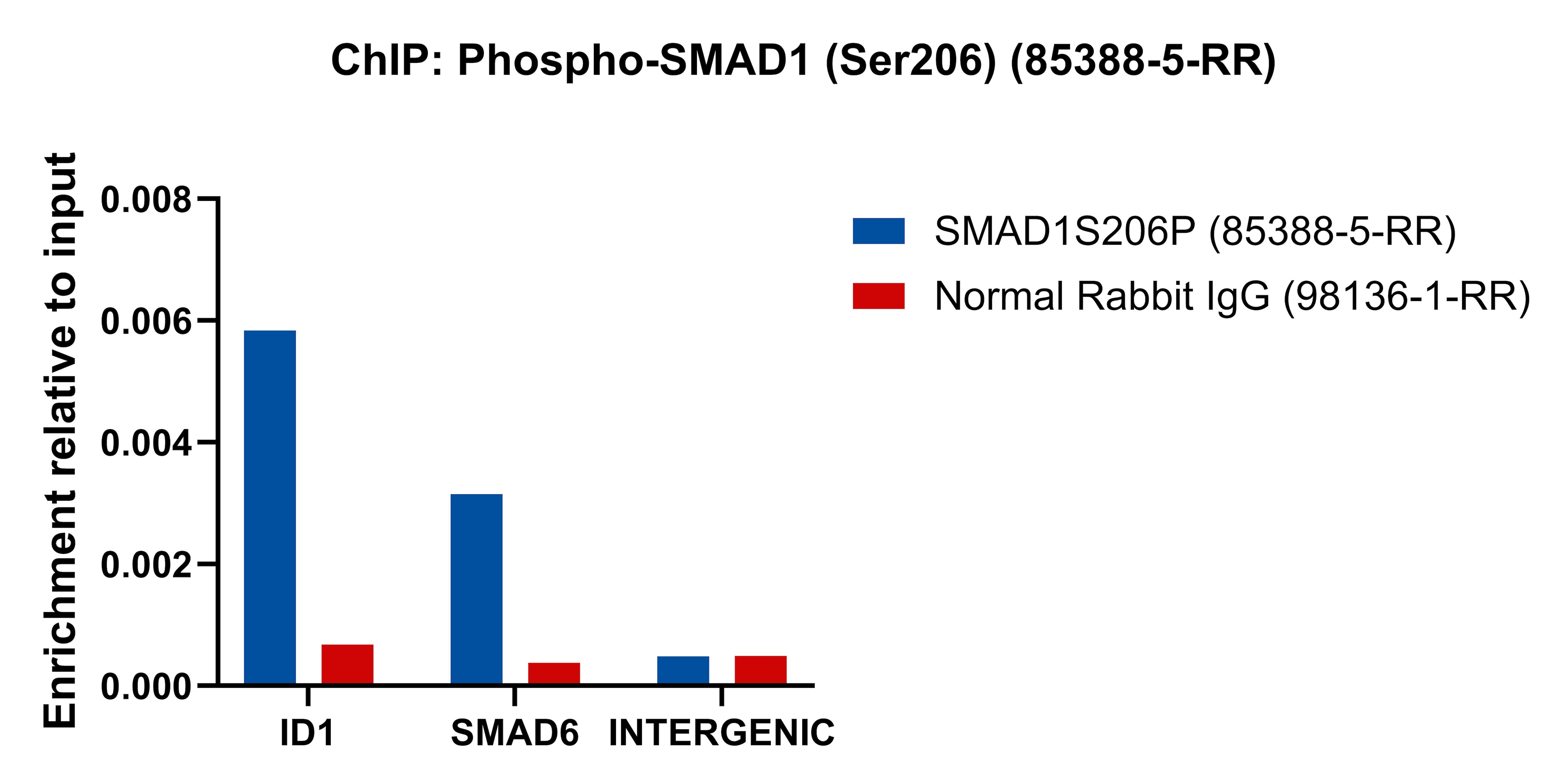 Chromatin was prepared from MCF-7 cells treated with BMP2 (50 ng/mL) for 1 h. Cells were fixed with formaldehyde for 10 minutes. The ChIP was performed with 15 µg of cross-linked chromatin, 5 µg of Phospho-SMAD1 (Ser206) (85388-5-RR) or 5 ug of Normal Rabbit IgG (98136-1-RR), and 20 µl of Protein A Magarose Beads. The immunoprecipitated DNA was quantified by real-time PCR. This data was developed using the same antibody clone with 85388-5-PBS in a different storage buffer formulation. ChIP experiment of MCF-7 cells using Phospho-SMAD1 (Ser206) Recombinant monoclonal anti (85388-5-RR)