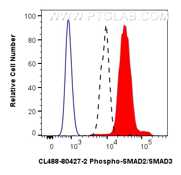 Flow cytometry (FC) experiment of HEK-293 cells using CoraLite® Plus 488-conjugated Phospho-SMAD2 (Ser46 (CL488-80427-2)