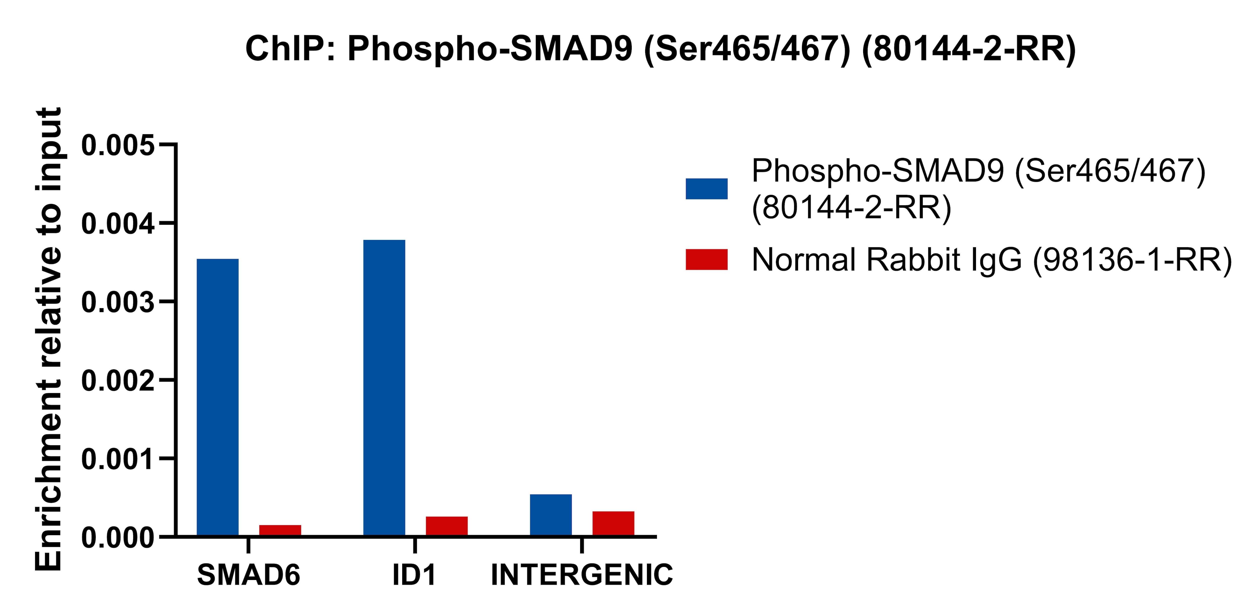 ChIP experiment of HepG2 cells using Phospho-SMAD9 (Ser465/467) Recombinant monoclonal  (80144-2-RR)