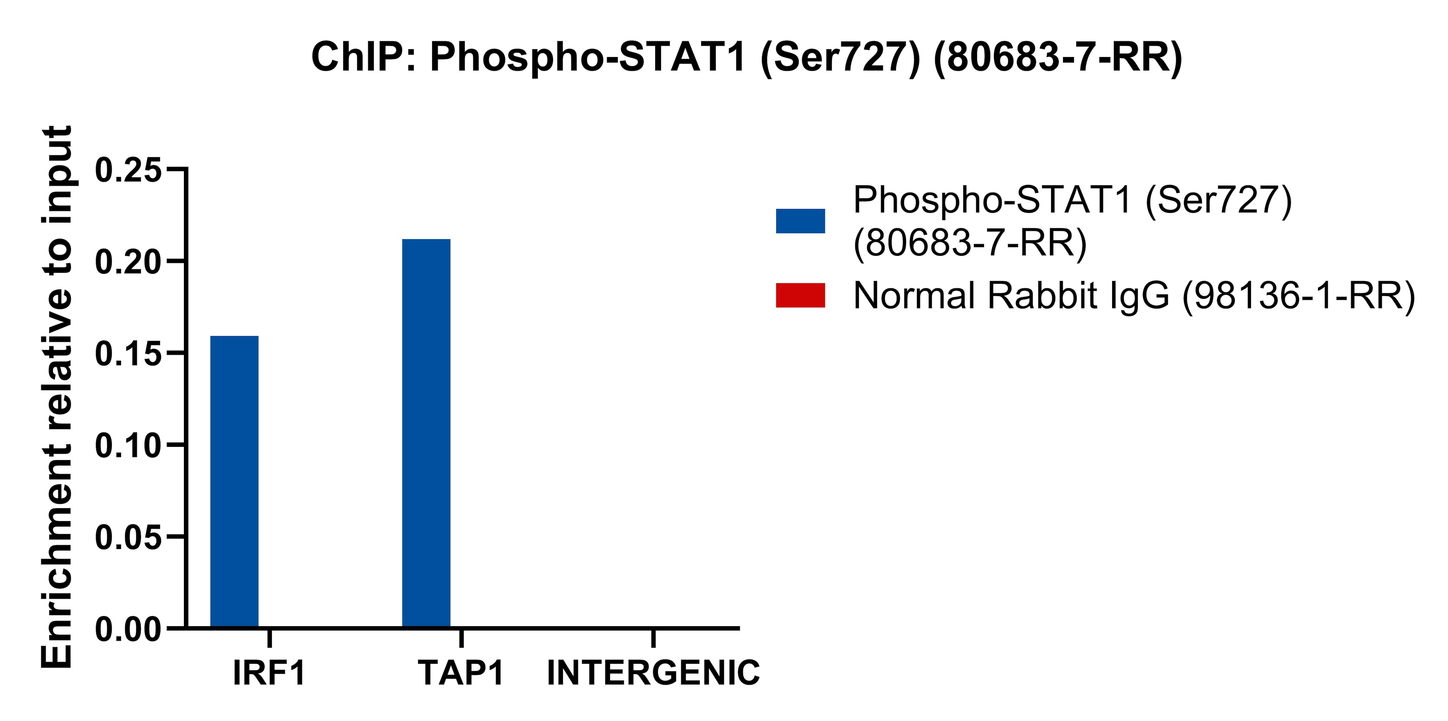 ChIP experiment of HT-1080 cells using Phospho-STAT1 (Ser727) Recombinant monoclonal anti (80683-7-RR)