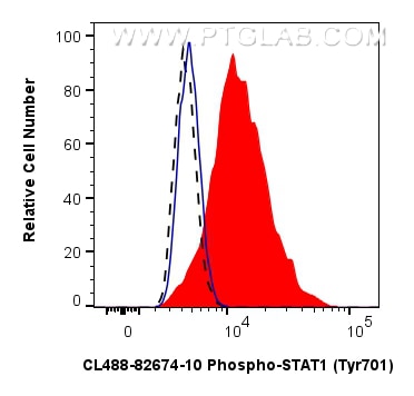 Flow cytometry (FC) experiment of THP-1 cells using CoraLite® Plus 488-conjugated Phospho-STAT1 (Tyr70 (CL488-82674-10)