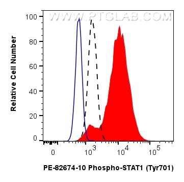 Flow cytometry (FC) experiment of THP-1 cells using PE-conjugated Phospho-STAT1 (Tyr701) Recombinant a (PE-82674-10)