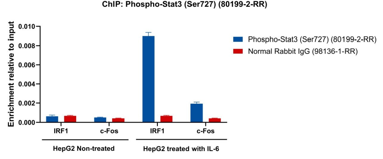 ChIP experiment of HepG2 cells using Phospho-STAT3 (Ser727) Recombinant antibody (80199-2-RR)