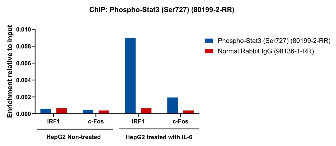 ChIP experiment of HepG2 cells using Phospho-STAT3 (Ser727) Recombinant antibody (80199-2-RR)