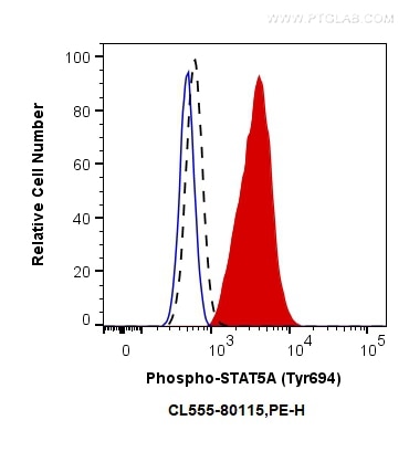 Flow cytometry (FC) experiment of TF-1 cells using CoraLite®555-conjugated Phospho-STAT5A (Tyr694) Re (CL555-80115)