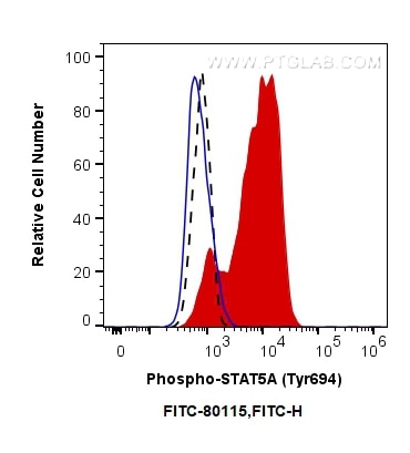 Flow cytometry (FC) experiment of TF-1 cells using FITC-conjugated Phospho-STAT5A (Tyr694) Recombinan (FITC-80115)