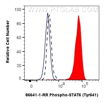 1X10^6 ACHN cells untreated (dashed lines) or treated with IL-4 treated which intracellularly stained with 0.13 ug Phospho-STAT6 (Tyr641) Recombinant monoclonal antibody (86641-1-RR, Clone:250940C12) and CoraLite®488-Conjugated Goat Anti-Rabbit IgG(H+L) (SA00013-2)(red), or 0.13 ug Rabbit IgG Isotype Control RecAb (98136-1-RR, Clone: 240953C9) (blue). Cells were fixed and permeabilized with Flow Cytometry Phosphorylated Protein Fixation/Permeabilization Kit (PF00026). This data was developed using the same antibody clone with 86641-1-PBS in a different storage buffer formulation. Flow cytometry (FC) experiment of ACHN cells using Phospho-STAT6 (Tyr641) Recombinant monoclonal anti (86641-1-RR)