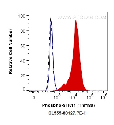 Flow cytometry (FC) experiment of PC-3 cells using CoraLite®555-conjugated Phospho-STK11 (Thr189) Rec (CL555-80127)