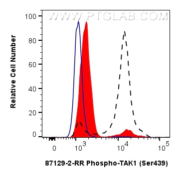 Flow cytometry (FC) experiment of HEK-293 cells using Phospho-TAK1 (Ser439) Recombinant monoclonal antib (87129-2-RR)