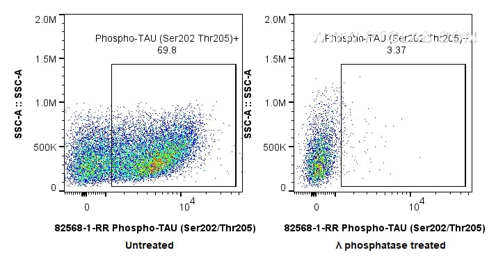 FC experiment of Mouse brain using 82568-1-RR Flow cytometry (FC) experiment of Mouse brain tissue using Phospho-TAU (Ser202/Thr205) Recombinant monoclonal (82568-1-RR)