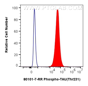 1x10^6 SH-SY5Y cells were intracellularly stained with 0.06 ug Phospho-TAU (Thr231) Recombinant antibody (80101-7-RR, Clone:240632B1) and CoraLite®488-Conjugated Goat Anti-Rabbit IgG(H+L) (SA00013-2)(red),  or 0.06 ug Rabbit IgG Isotype Control Recombinant Antibody (98136-2-RR, Clone: 240953A11) (blue). Cells were fixed with 4% PFA and permeabilized with 90% MeOH. This data was developed using the same antibody clone with 80101-7-PBS in a different storage buffer formulation. Flow cytometry (FC) experiment of SH-SY5Y cells using Phospho-TAU (Thr231) Recombinant monoclonal antibo (80101-7-RR)