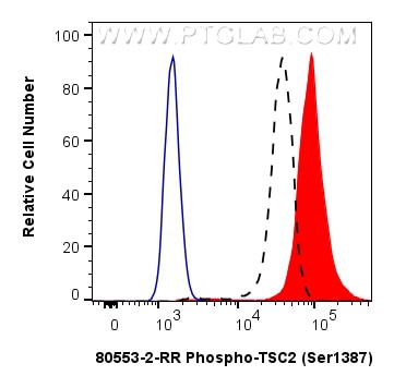 Flow cytometry (FC) experiment of HeLa cells using Phospho-TSC2 (Ser1387) Recombinant monoclonal anti (80553-2-RR)