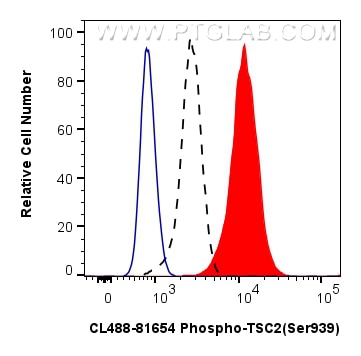 1X10^6 HEK-293 cells untreated (dashed lines) or treated with Calyculin A which intracellularly stained with 0.25 ug Coralite® Plus 488 Phospho-Tsc2 (Ser939) Recombinant Antibody (CL488-81654, Clone:2B18)(red),  or 0.25 ug CoraLite® Plus 488 Rabbit IgG Isotype Control RecAb (CL488-98136, Clone: 240953C9) (blue). Cells were fixed with 4% PFA and permeabilized with 90% MeOH. Flow cytometry (FC) experiment of HEK-293 cells using CoraLite® Plus 488-conjugated Phospho-TSC2 (Ser939 (CL488-81654)