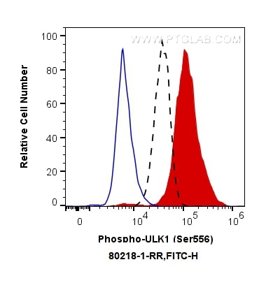 Flow cytometry (FC) experiment of PC-3 cells using Phospho-ULK1 (Ser556) Recombinant antibody (80218-1-RR)