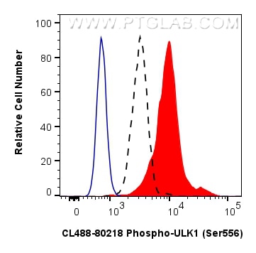 Flow cytometry (FC) experiment of HeLa cells using CoraLite® Plus 488-conjugated Phospho-ULK1 (Ser556 (CL488-80218)