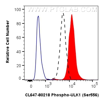 Flow cytometry (FC) experiment of HeLa cells using CoraLite® Plus 647-conjugated Phospho-ULK1 (Ser556 (CL647-80218)