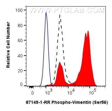 Flow cytometry (FC) experiment of Jurkat cells using Phospho-Vimentin (Ser56) Recombinant monoclonal an (87149-1-RR)