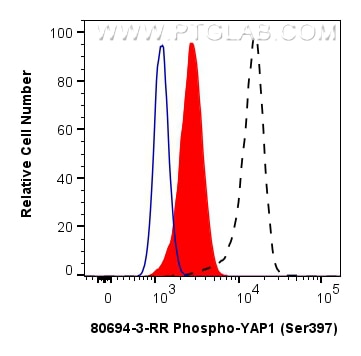 Flow cytometry (FC) experiment of NIH/3T3 cells using Phospho-YAP1 (Ser397) Recombinant monoclonal antib (80694-3-RR)