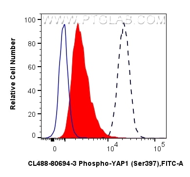 Flow cytometry (FC) experiment of NIH/3T3 cells using CoraLite® Plus 488-conjugated Phospho-YAP1 (Ser397 (CL488-80694-3)