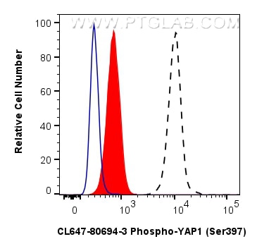 FC experiment of NIH/3T3 using CL647-80694-3 Flow cytometry (FC) experiment of NIH/3T3 cells using CoraLite® Plus 647-conjugated Phospho-YAP1 (Ser397 (CL647-80694-3)