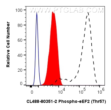 FC experiment of HeLa using CL488-80351-2 Flow cytometry (FC) experiment of HeLa cells using CoraLite® Plus 488-conjugated Phospho-eEF2 (Thr57) (CL488-80351-2)