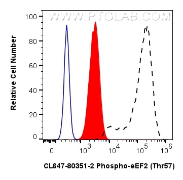 FC experiment of HeLa using CL647-80351-2 Flow cytometry (FC) experiment of HeLa cells using CoraLite® Plus 647-conjugated Phospho-eEF2 (Thr57) (CL647-80351-2)