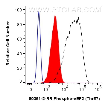 Flow cytometry (FC) experiment of HeLa cells using Phospho-eEF2 (Thr57) Recombinant monoclonal antibo (80351-2-RR)