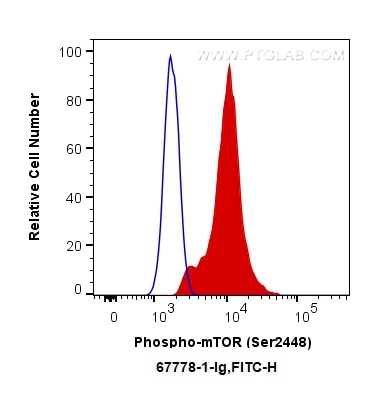 Flow cytometry (FC) experiment of HEK-293 cells using Phospho-mTOR (Ser2448) Monoclonal antibody (67778-1-Ig)