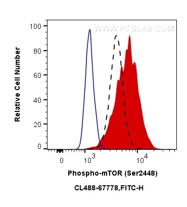 Flow cytometry (FC) experiment of HeLa cells using CoraLite® Plus 488-conjugated Phospho-mTOR (Ser244 (CL488-67778)