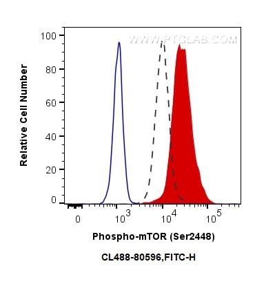 Flow cytometry (FC) experiment of HeLa cells using CoraLite® Plus 488-conjugated Phospho-mTOR (Ser244 (CL488-80596)