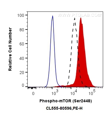 FC experiment of HeLa using CL555-80596