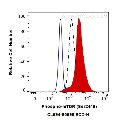 Flow cytometry (FC) experiment of HeLa cells using CoraLite®594-conjugated Phospho-mTOR (Ser2448) Rec (CL594-80596)