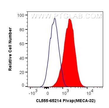 Flow cytometry (FC) experiment of bEnd.3 cells using CoraLite® Plus 555 Anti-Mouse PLVAP (MECA-32) (CL555-65214)