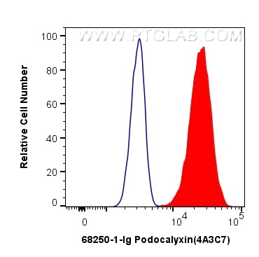 Flow cytometry (FC) experiment of HeLa cells using Podocalyxin Monoclonal antibody (68250-1-Ig)