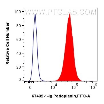 Flow cytometry (FC) experiment of U2OS cells using Podoplanin Monoclonal antibody (67432-1-Ig)