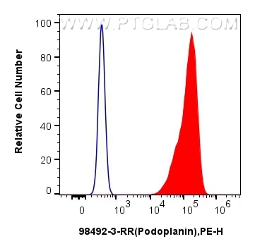 FC experiment of C2C12 using 98492-3-RR (same clone as 98492-3-PBS) Flow cytometry (FC) experiment of C2C12 cells using Anti-Mouse Podoplanin Rabbit Recombinant Antibody (98492-3-RR)