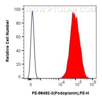 FC experiment of C2C12 using PE-98492-3 Flow cytometry (FC) experiment of C2C12 cells using PE Anti-Mouse Podoplanin Rabbit Recombinant Antibo (PE-98492-3)