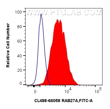 Flow cytometry (FC) experiment of HeLa cells using CoraLite® Plus 488-conjugated RAB27A Monoclonal an (CL488-66058)