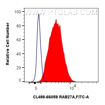 Flow cytometry (FC) experiment of Jurkat cells using CoraLite® Plus 488-conjugated RAB27A Monoclonal an (CL488-66058)