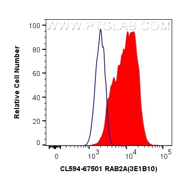 Flow cytometry (FC) experiment of HeLa cells using CoraLite®594-conjugated RAB2A Monoclonal antibody (CL594-67501)