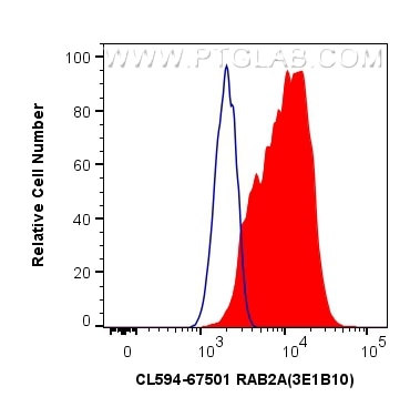 FC experiment of HeLa using CL594-67501