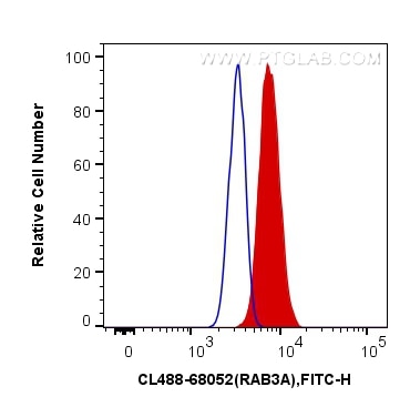 Flow cytometry (FC) experiment of HeLa cells using CoraLite® Plus 488-conjugated RAB3A Monoclonal ant (CL488-68052)