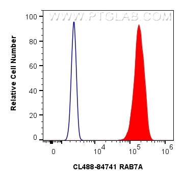 Flow cytometry (FC) experiment of A431 cells using CoraLite®488-conjugated RAB7A Recombinant antibody (CL488-84741)