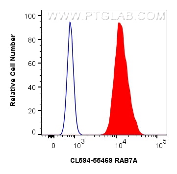 Flow cytometry (FC) experiment of A431 cells using CoraLite®594-conjugated RAB7A Polyclonal antibody (CL594-55469)